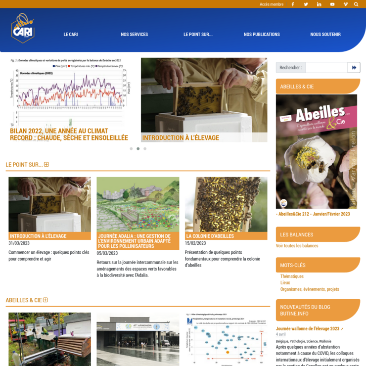 Page accueil de l'interface publique du site cari.be
